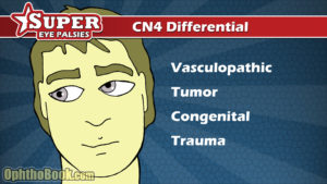 CN4 Differential